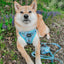 Dog Adjustable Harness - Disney's Stitch