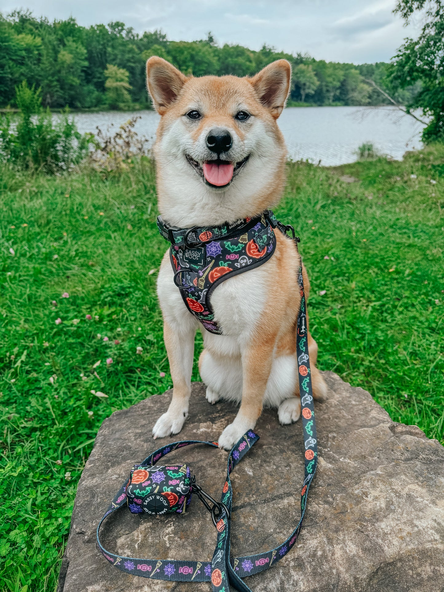 Dog Adjustable Harness - Neon Frights