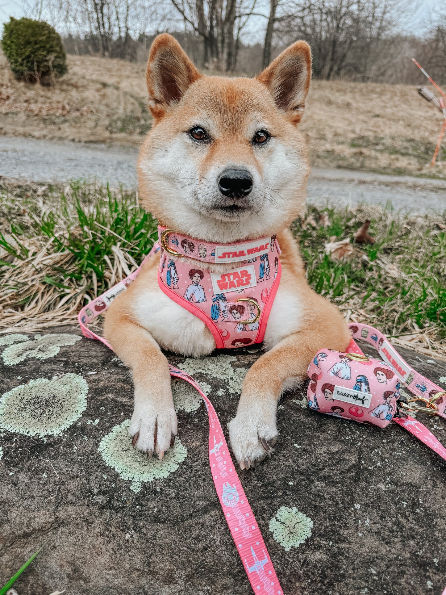 Dog Collar - STAR WARS™ Princess Leia