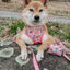 Dog Adjustable Harness - STAR WARS™ Princess Leia