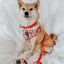 Dog Adjustable Harness - Hot Cocoa Club