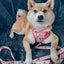 Dog Leash - STAR WARS™ Princess Leia