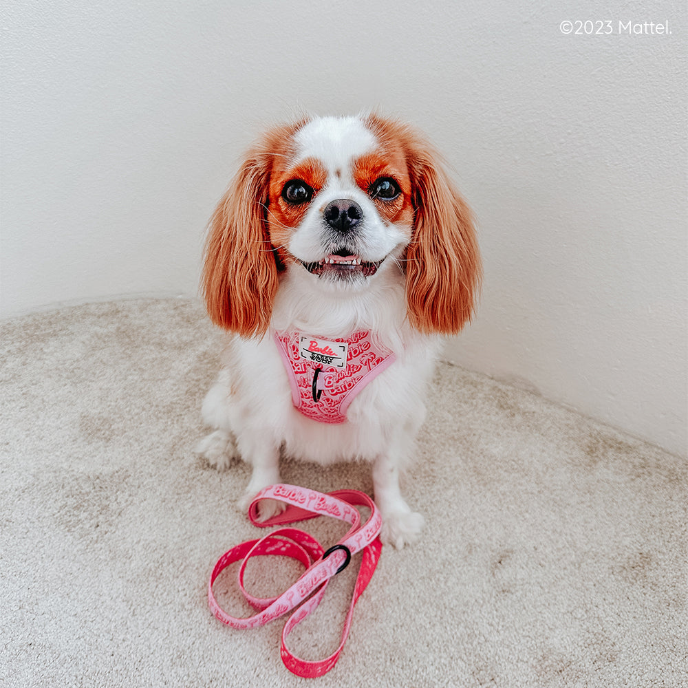 Dog Leash - BARBIE™ Malibu