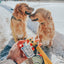 Dog Waterproof Leash - Beige