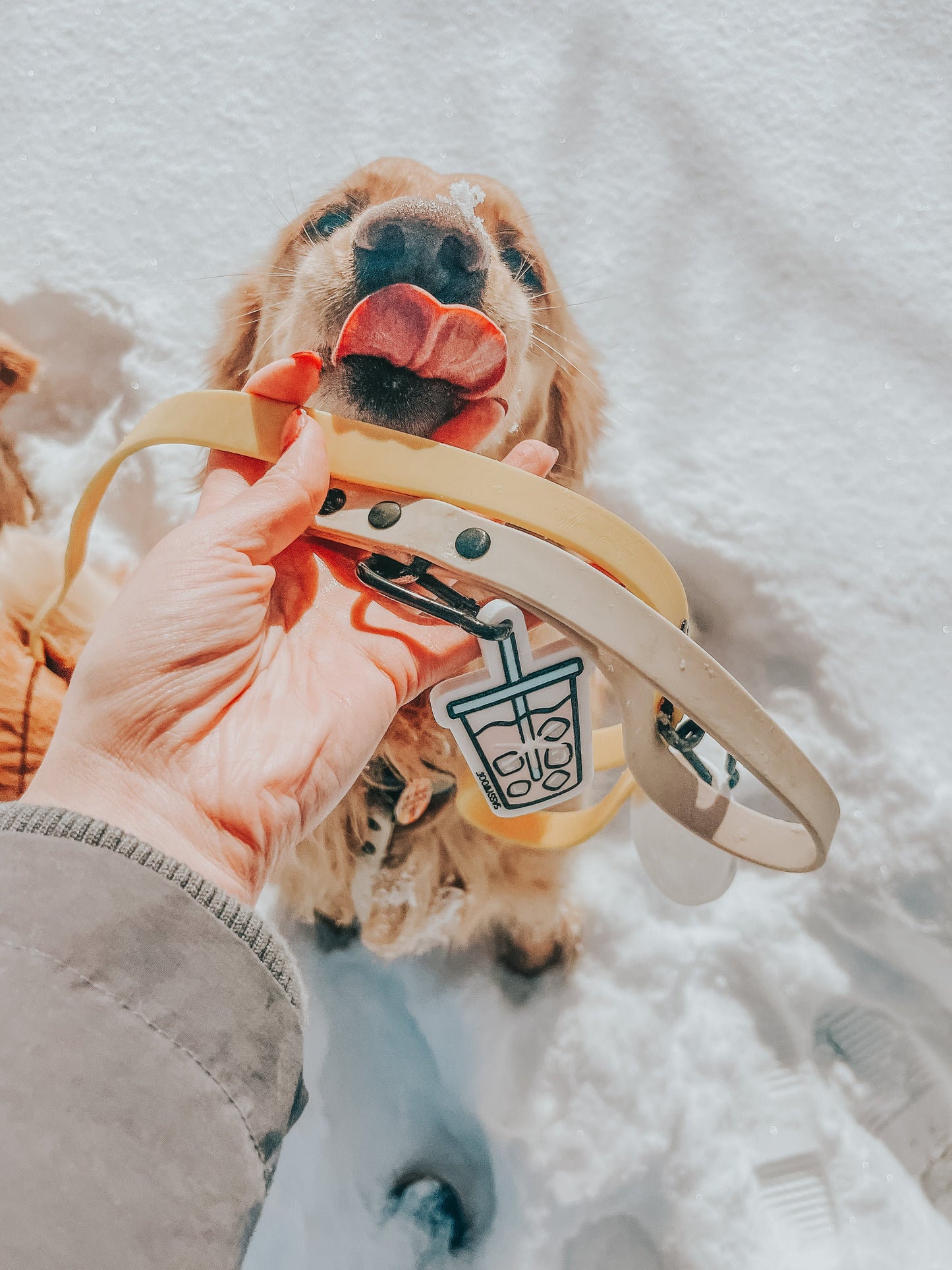 Dog Waterproof Leash - Beige