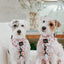 Dog Adjustable Harness - Sakura