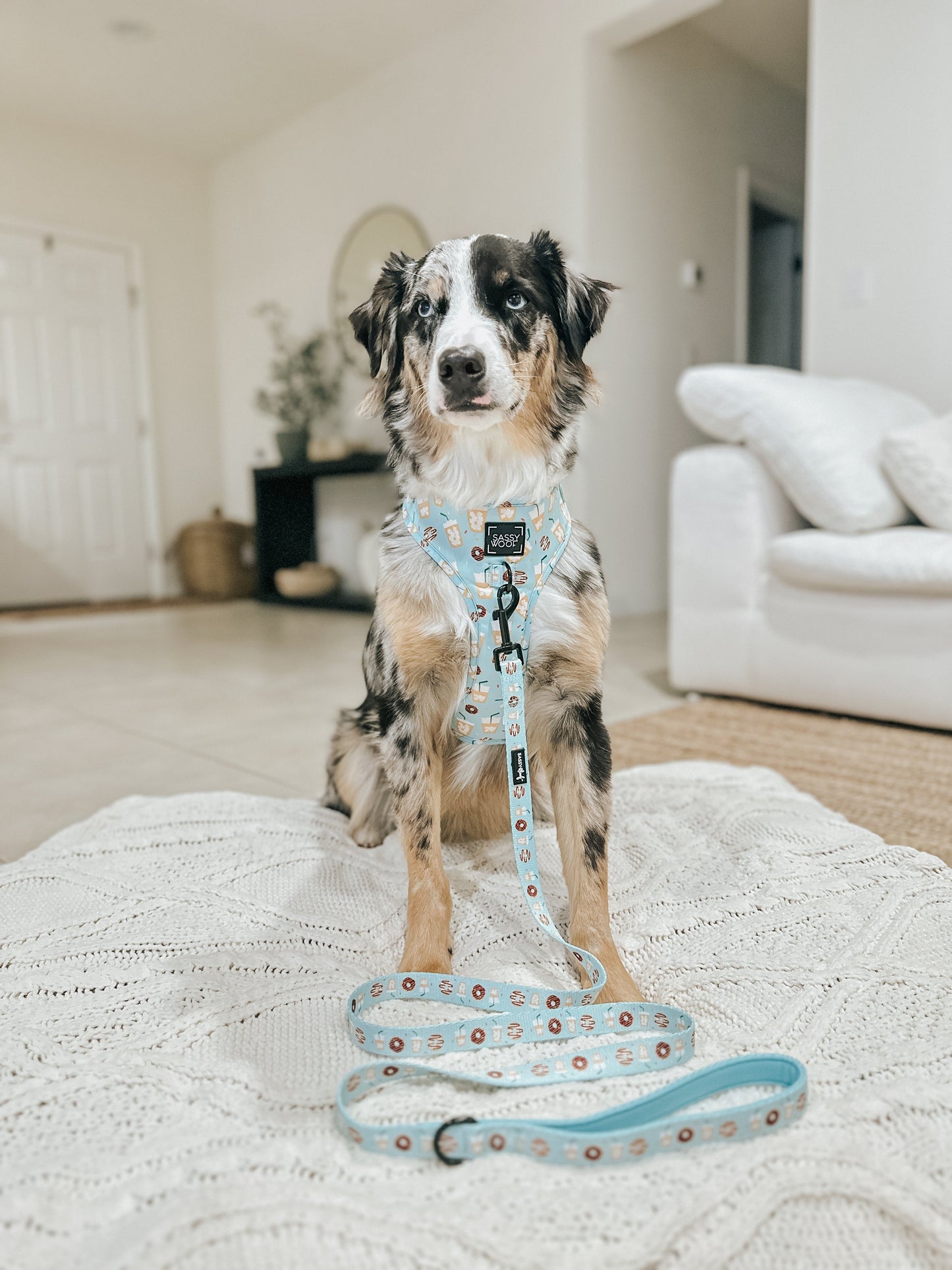 Dog Adjustable Harness - Sweets & Pawfee