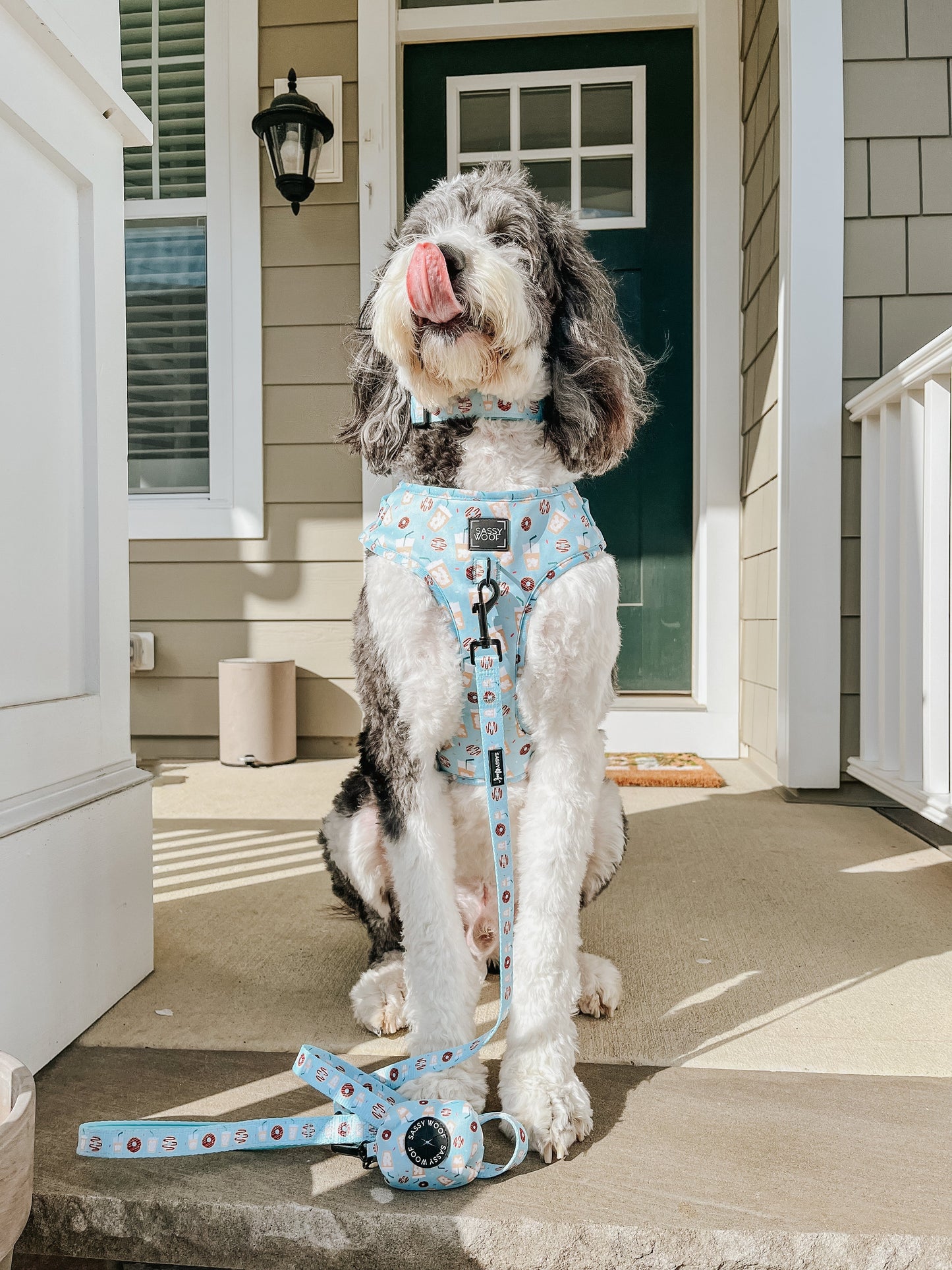 Dog Collar - Sweets & Pawfee