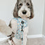 Dog Adjustable Harness - Sweets & Pawfee