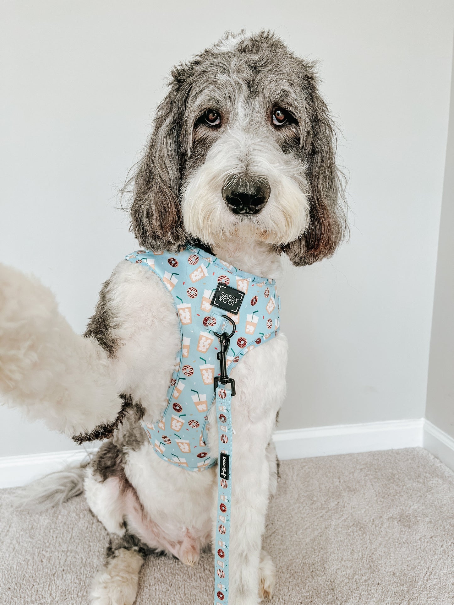 Dog Adjustable Harness - Sweets & Pawfee
