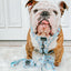 Dog Adjustable Harness - Sweets & Pawfee