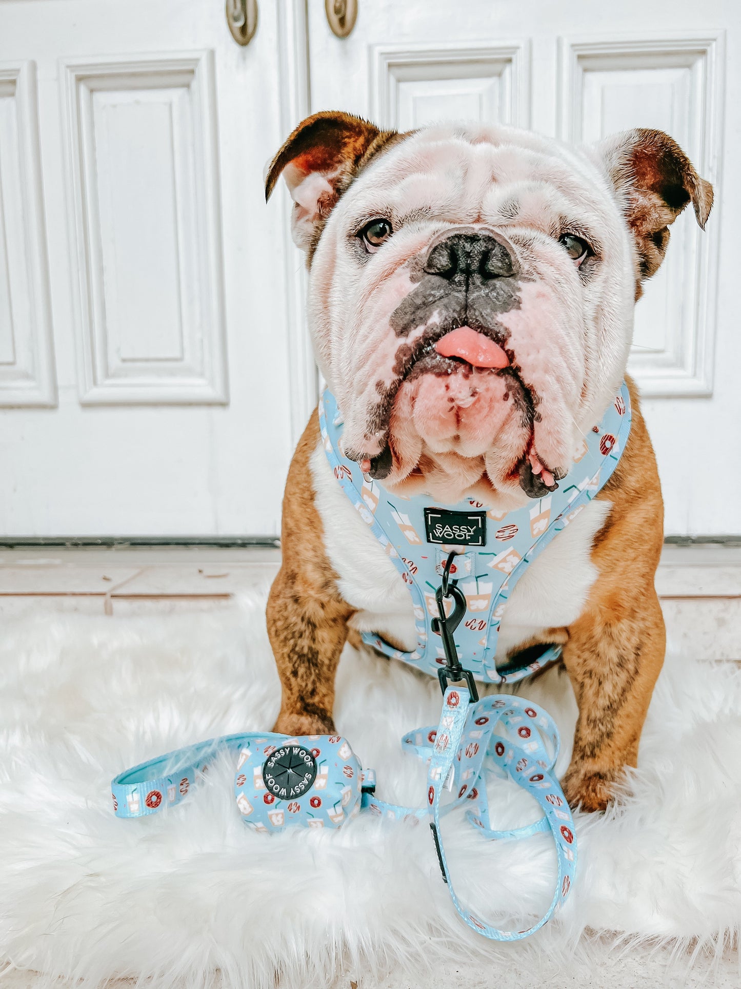 Dog Adjustable Harness - Sweets & Pawfee