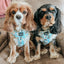 Dog Adjustable Harness - Sweets & Pawfee