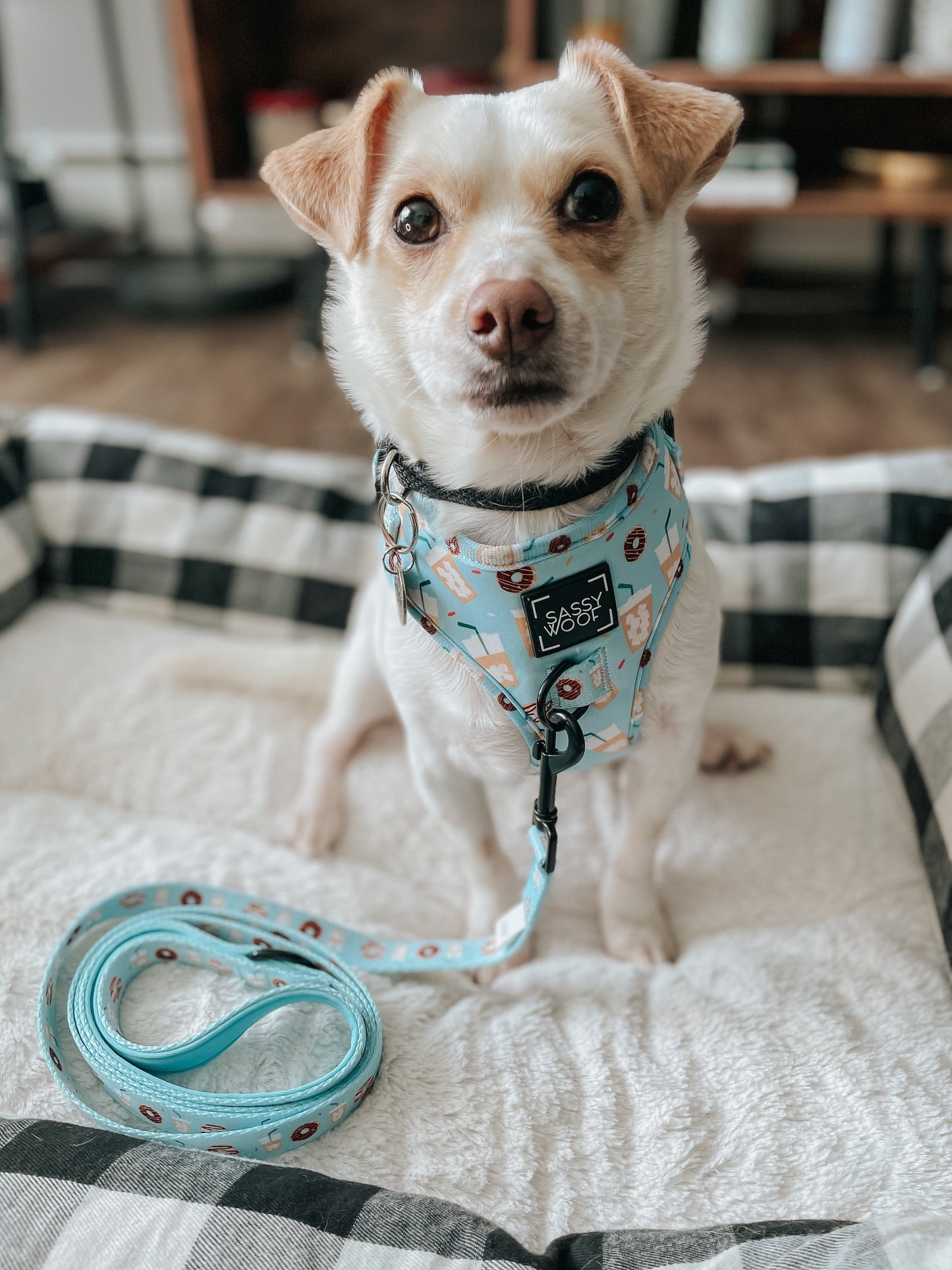 Dog Adjustable Harness - Sweets & Pawfee