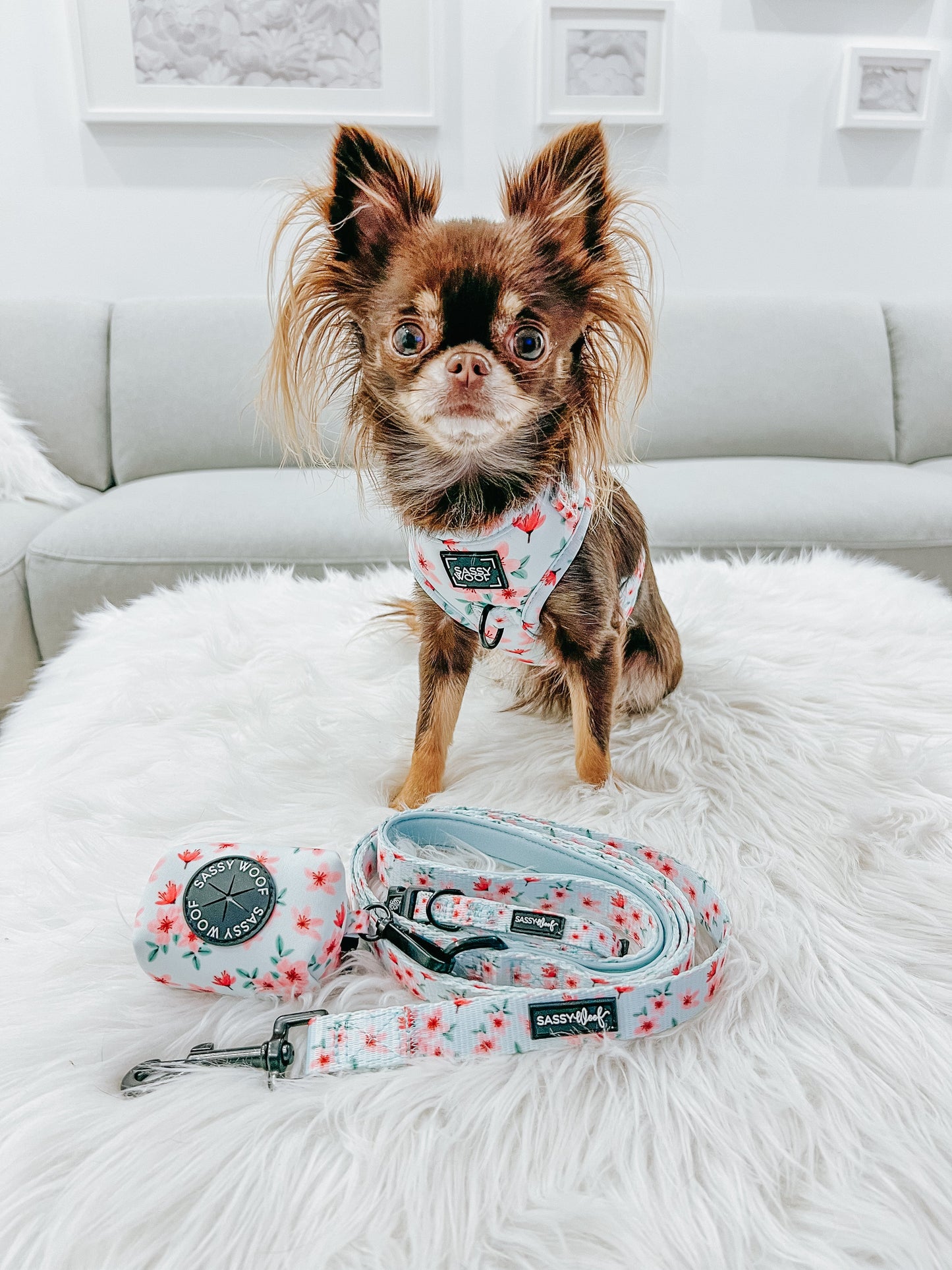 Dog Adjustable Harness - Sakura