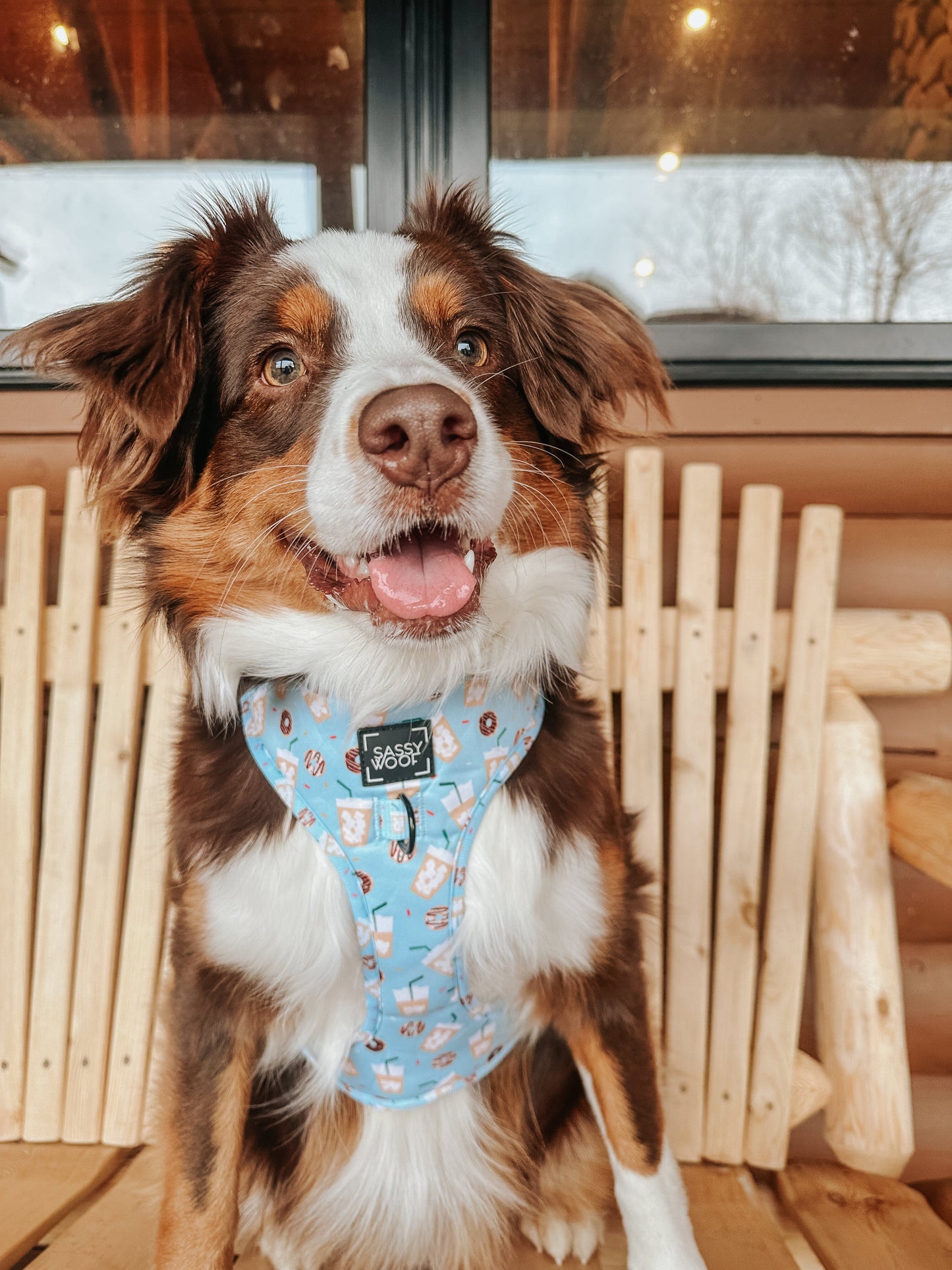 Dog Adjustable Harness - Sweets & Pawfee