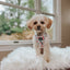 Dog Adjustable Harness - Sakura