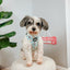Dog Adjustable Harness - Sweets & Pawfee