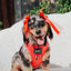 Dog Adjustable Harness - Merlot