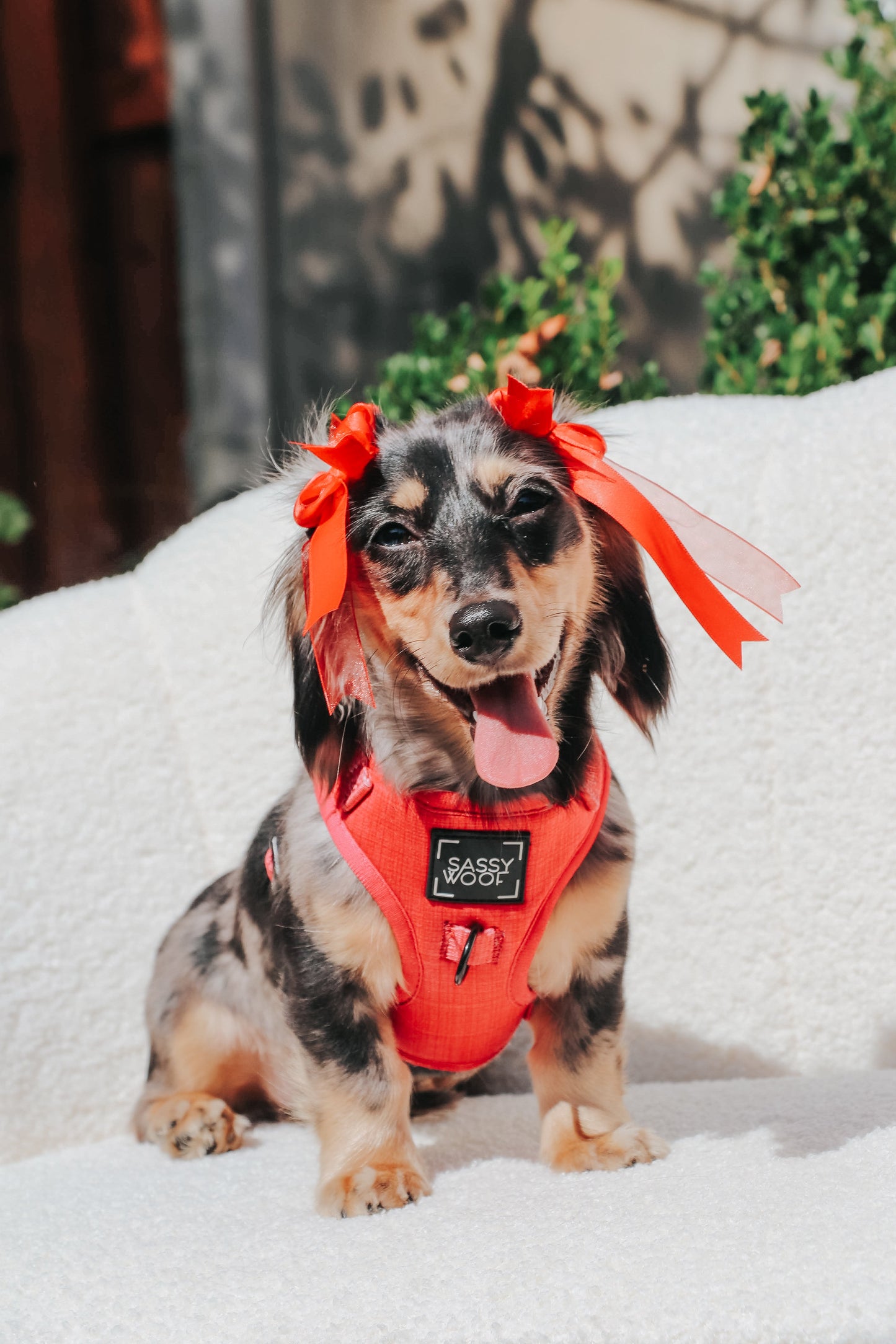 Dog Adjustable Harness - Merlot