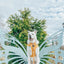 Dog Adjustable Harness - Sunflower Fields