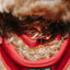 Dog Collar - Merlot