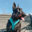 Dog Adjustable Harness - Napa