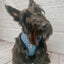 Dog Adjustable Harness - Denim