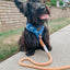 Dog Rope Leash - Clementine