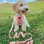 Dog Leash - Dolce Rose