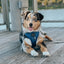 Dog Adjustable Harness - Denim