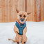 Dog Adjustable Harness - Twilight