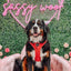 Dog Adjustable Harness - Merlot