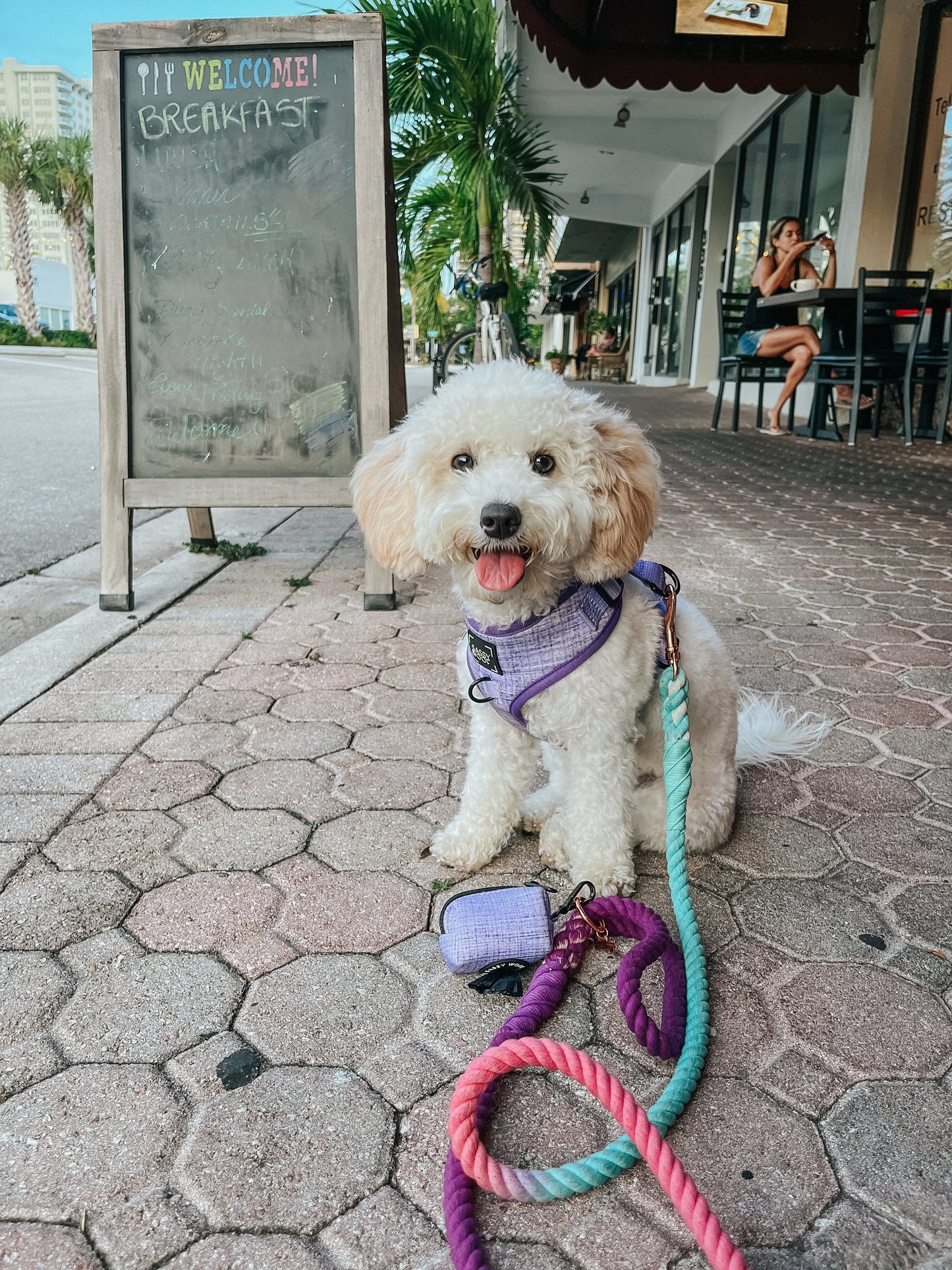 Dog Adjustable Harness - Aurora