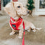 Dog Adjustable Harness - Merlot