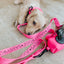 Dog Leash - Neon Pink