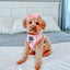 Dog Reversible Harness - Dolce Rose