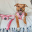 Collar Tag - Mama's Girl