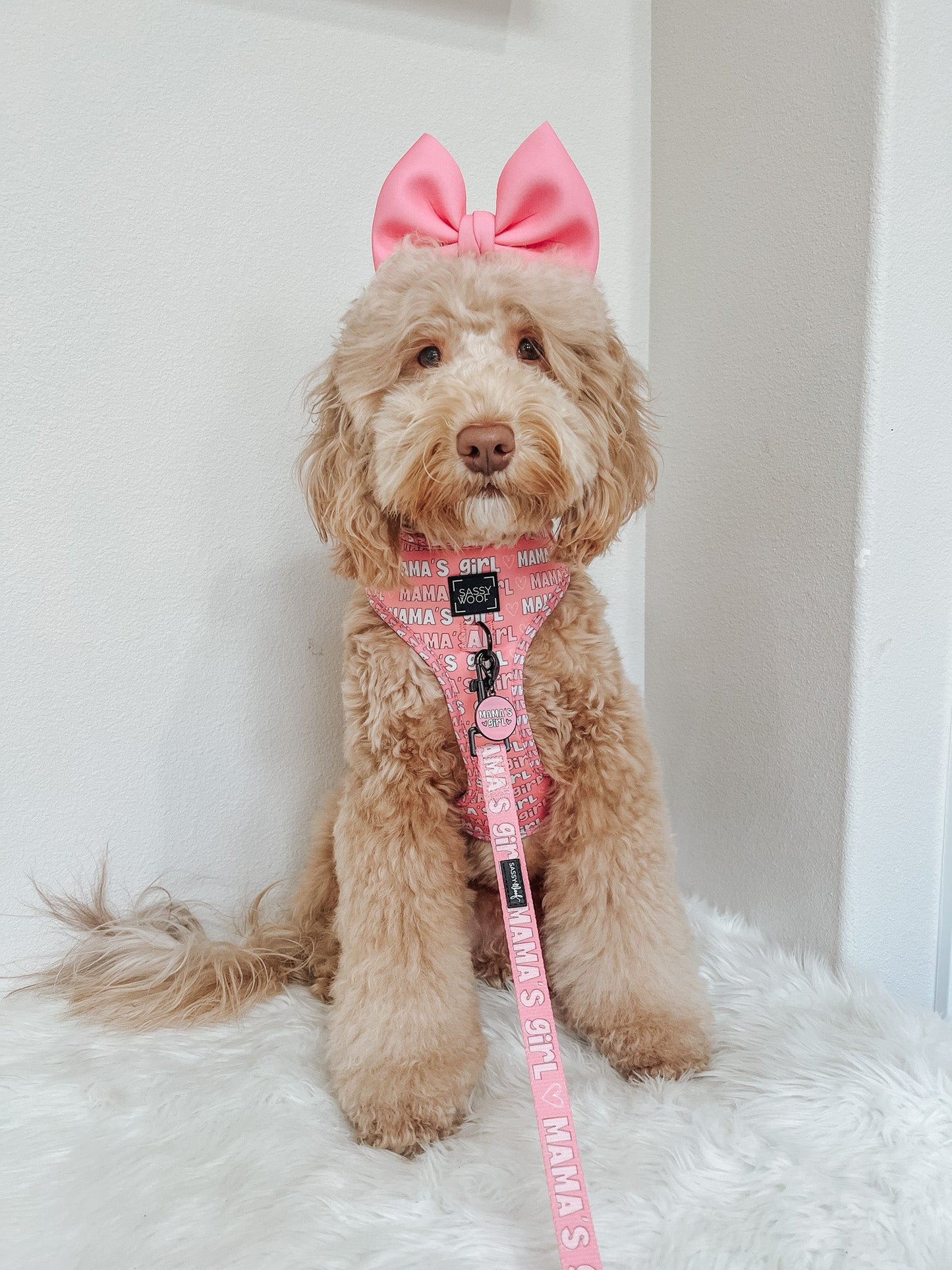 Collar Tag - Mama's Girl