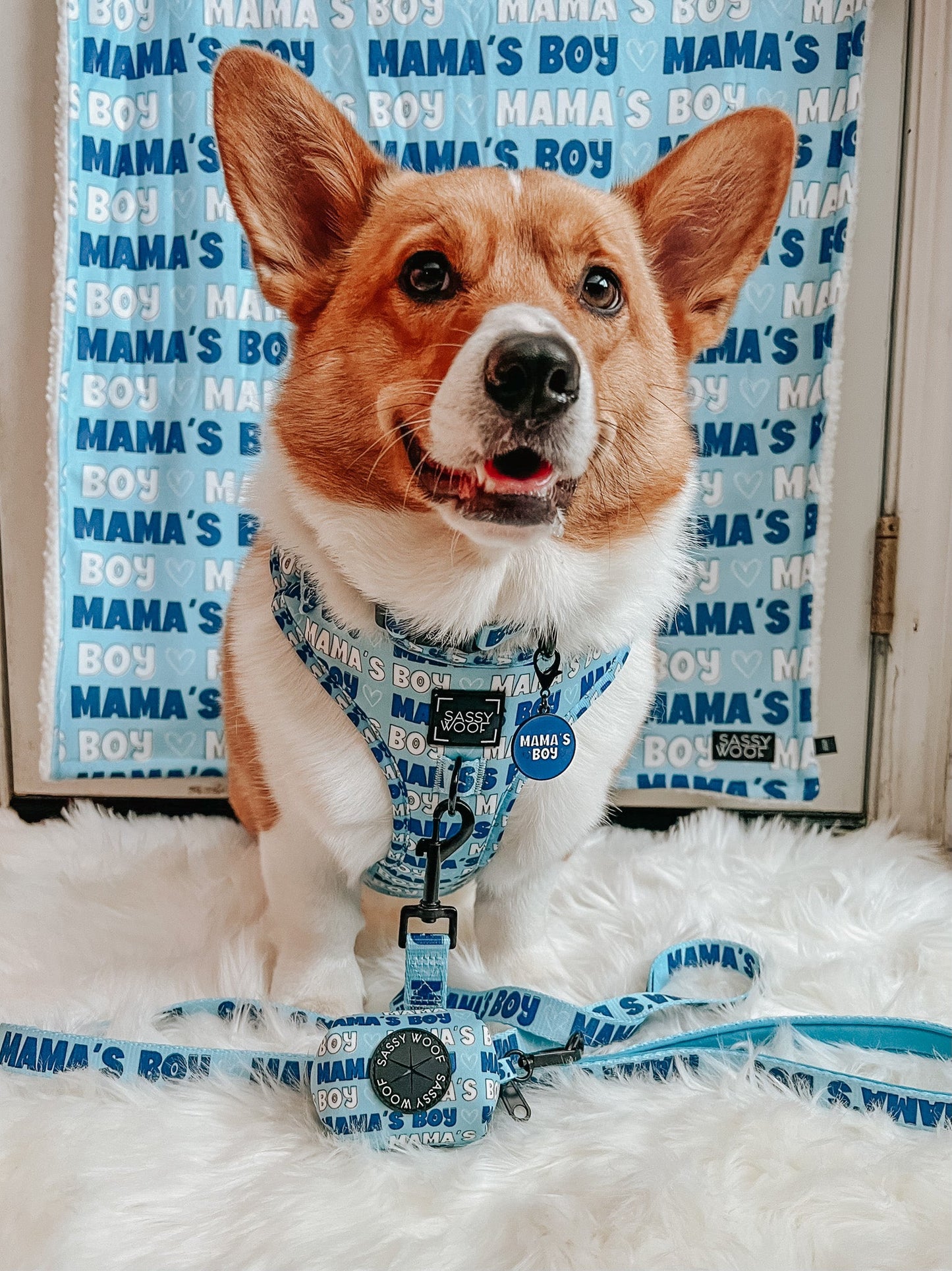 Collar Tag - Mama's Boy