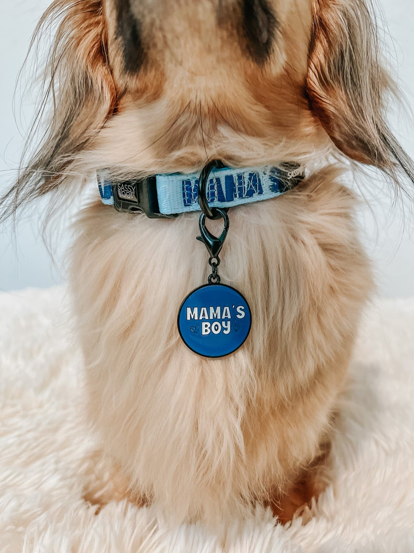 Collar Tag - Mama's Boy