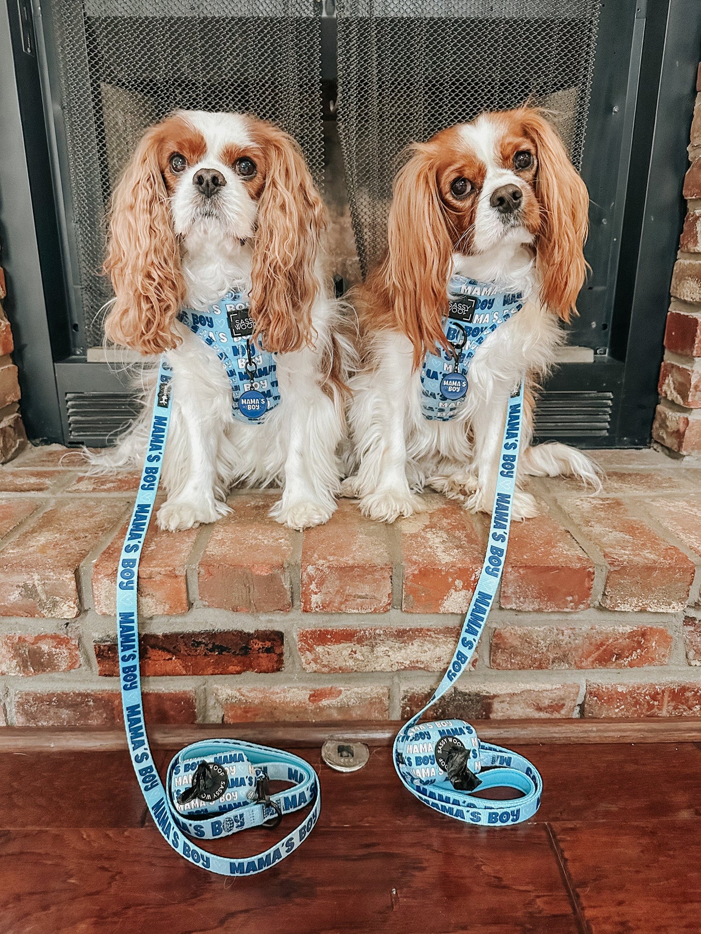 Collar Tag - Mama's Boy