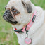 Collar Tag - Mama's Girl