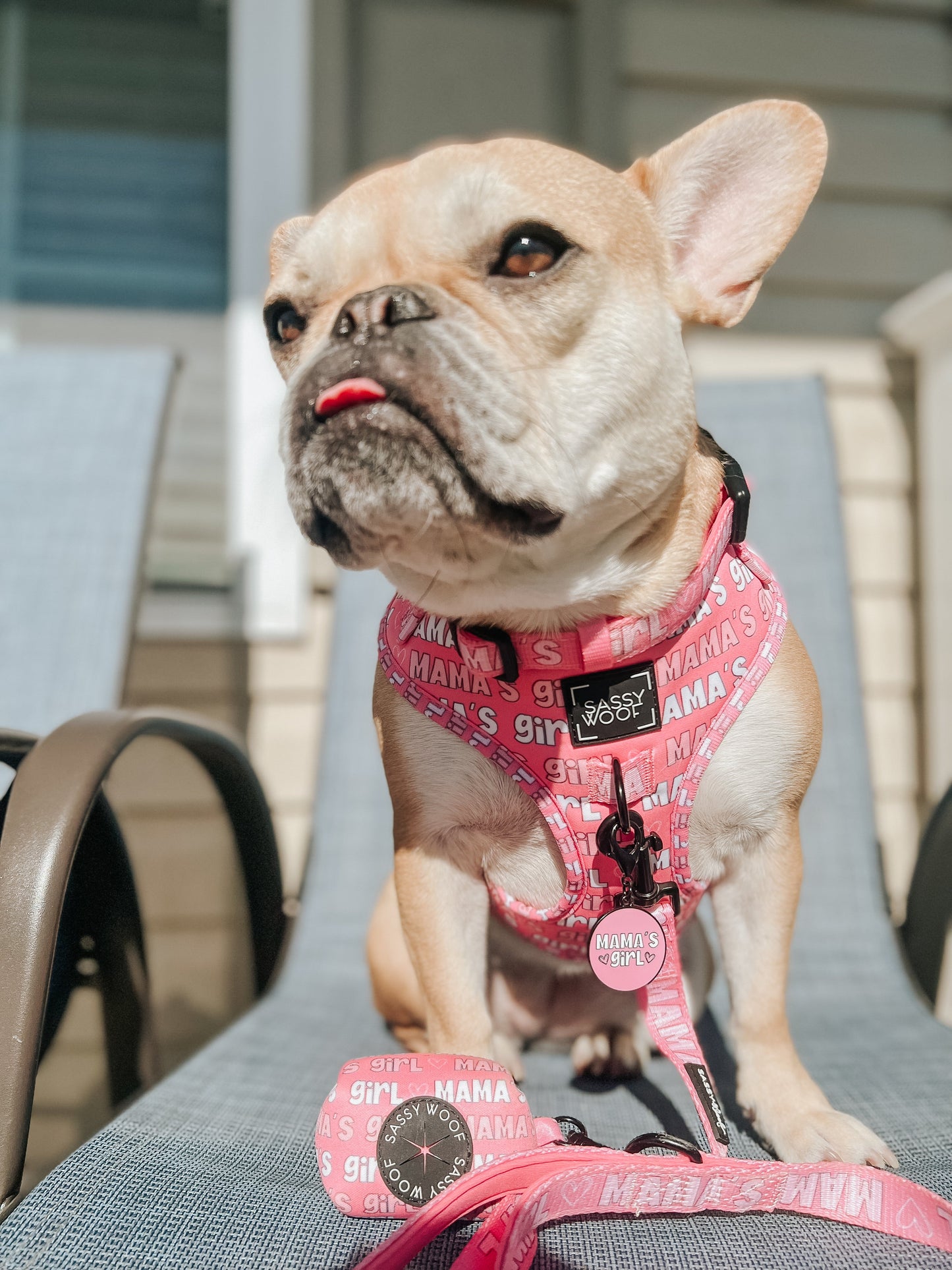 Collar Tag - Mama's Girl