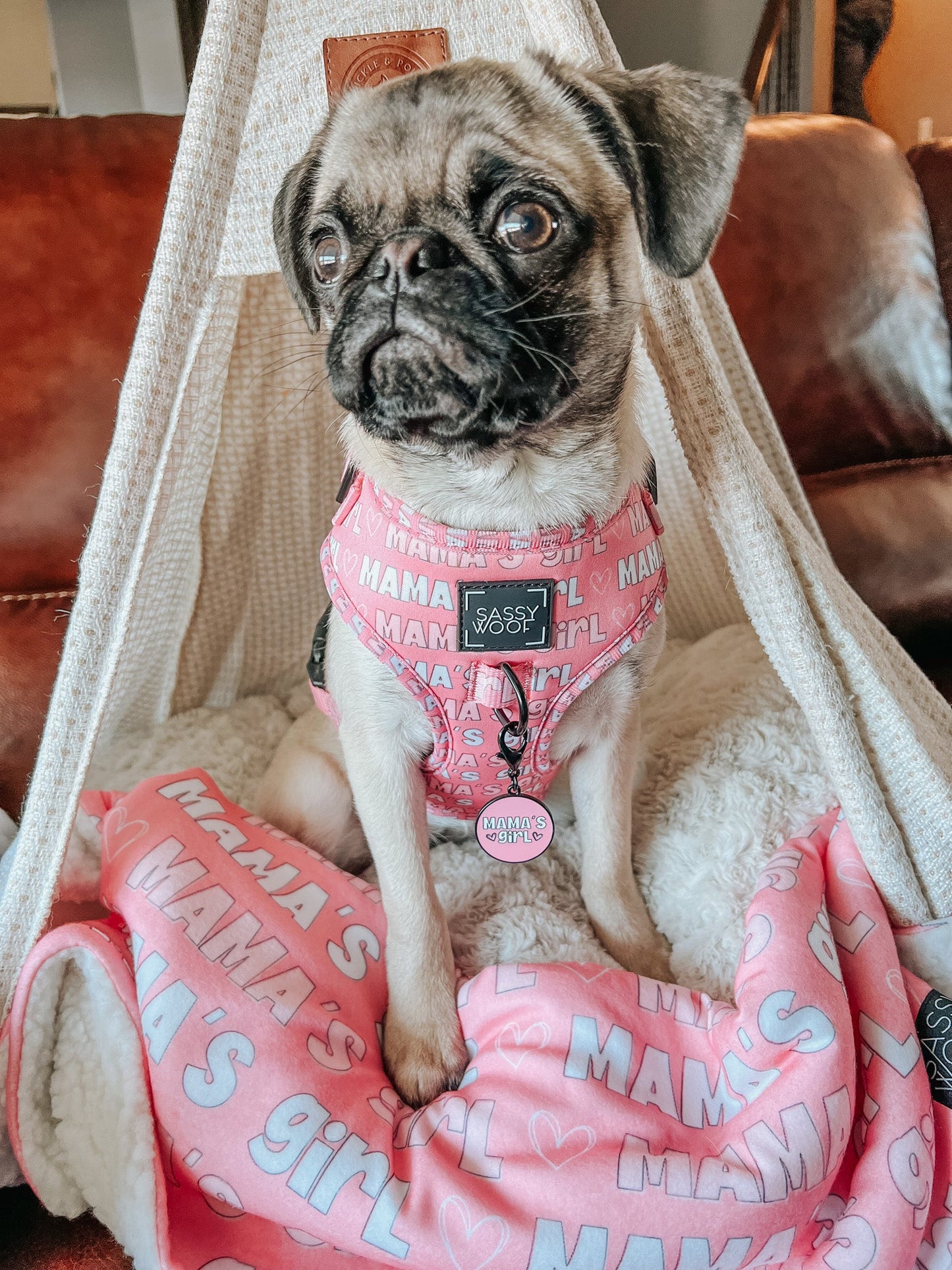 Collar Tag - Mama's Girl