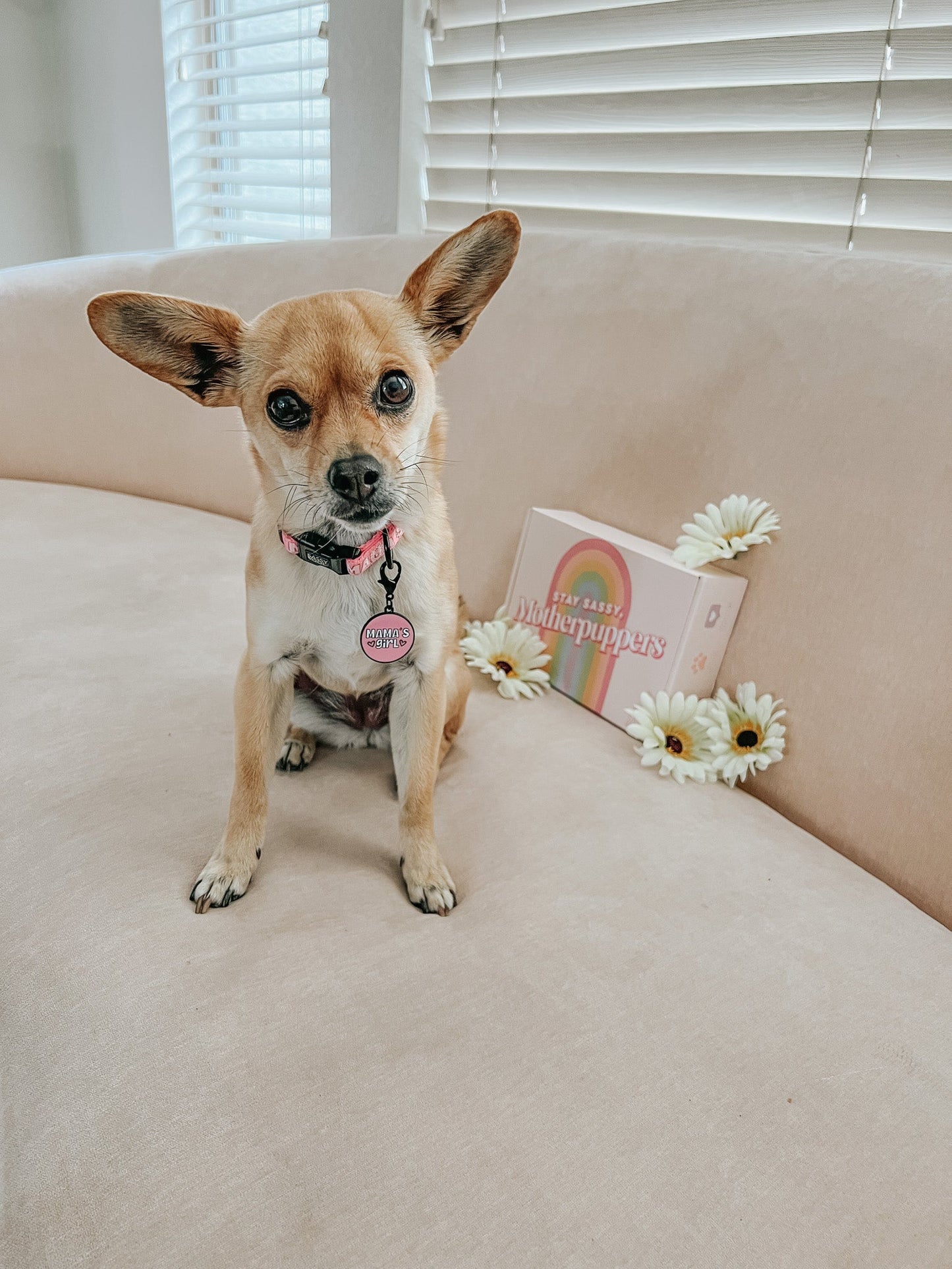Collar Tag - Mama's Girl