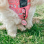 Collar Tag - Mama's Girl
