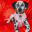 Dog Reversible Harness - Dolce Rose