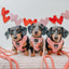 Dog Reversible Harness - Dolce Rose