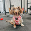 Dog Adjustable Harness - Mon Chérry